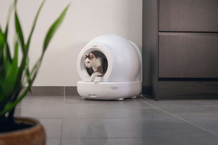beeztees Automatische Katzentoilette Moeza